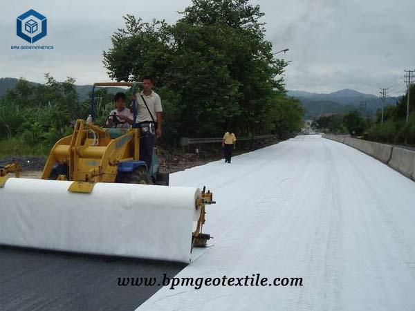 High Strength geotextile for Road Reinforcement