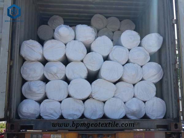 White Geotextile Fabric for Construction