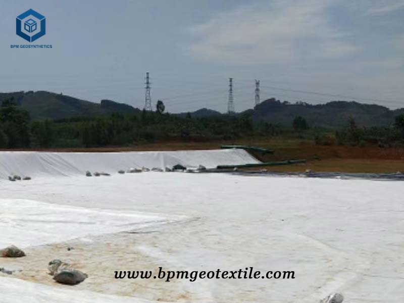 Needle Punched Geotextile for Expressway Construction Project
