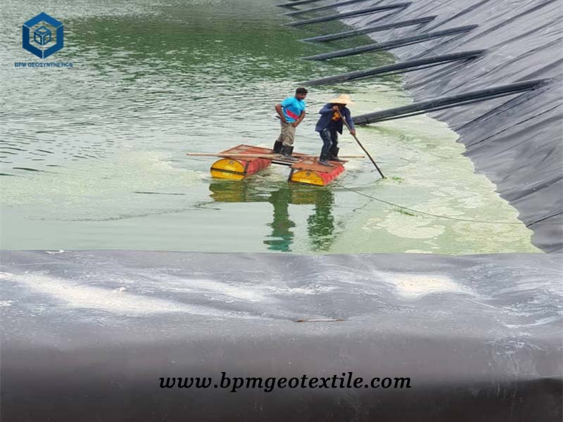 Waterproof Geotextile Fabric for Palm Oil Waster Pond in Malaysia
