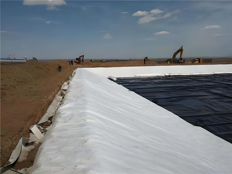 Non Woven Geo fabric for Coastline project in Vietnam