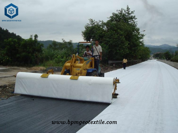 Geotextile Driveway Fabric for Road Construction Project in Philippines
