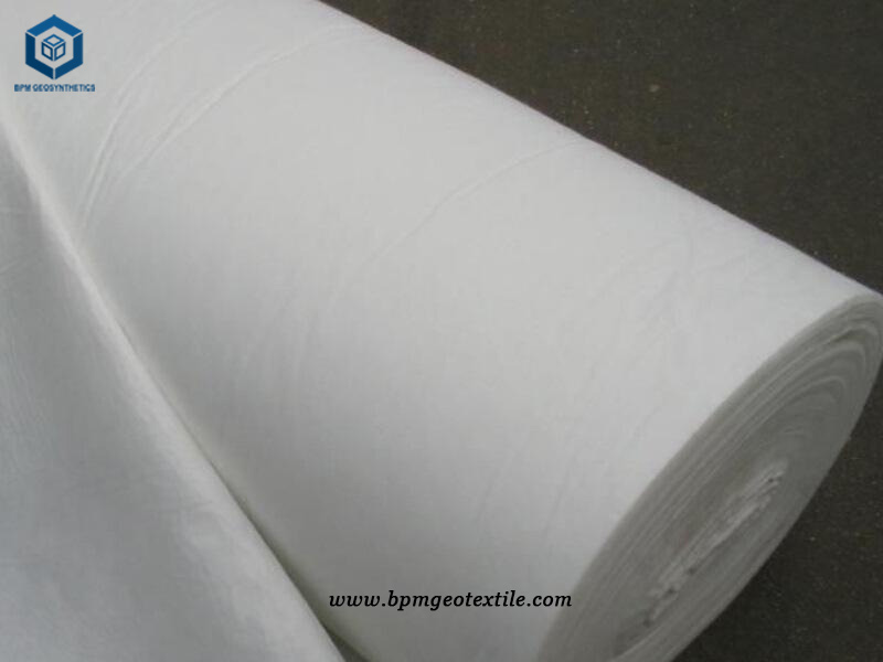 Staple Fiber Geotextile Fabric for Soil Stabilization of Dam in Philippine