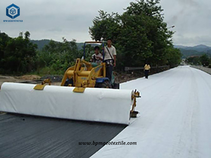 Ground Stabilization Fabric for Highway Construction in the Philippines