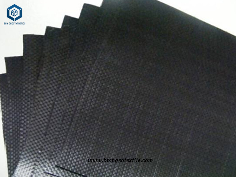Black Woven Geotextile Fabric for Water Conservancy Project In Cambodia
