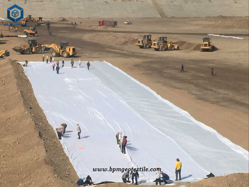 PET Filament Fabric Geotextile for Driveway Road in New Zealand